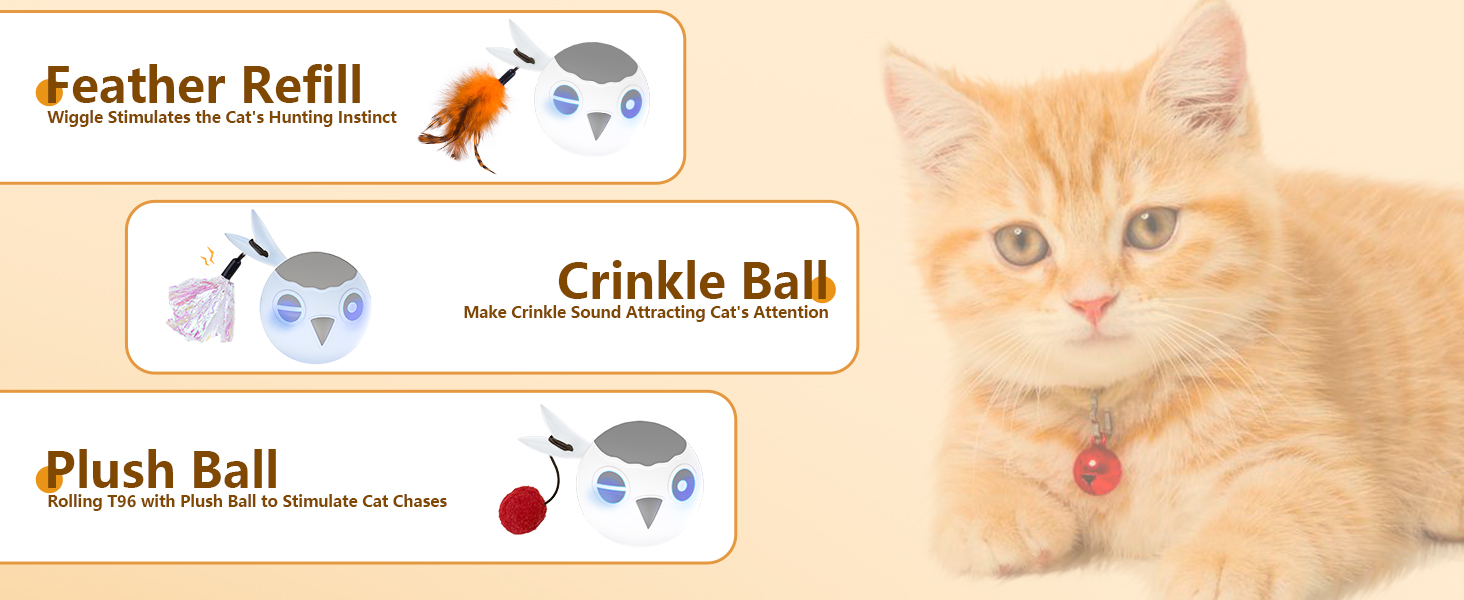 cat interactive toys