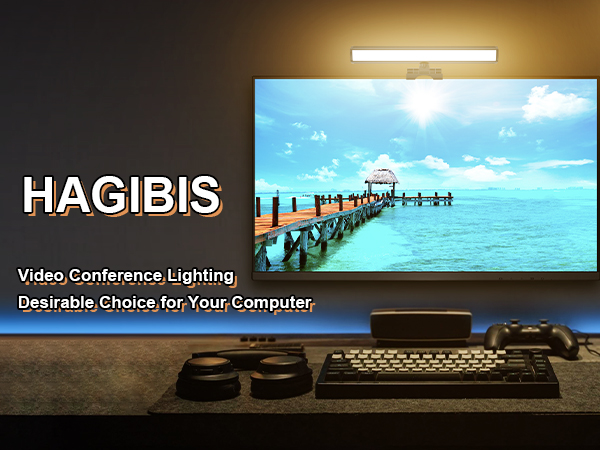 Video Conference Lighting