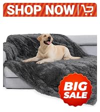 https://m.media-amazon.com/images/S/aplus-media-library-service-media/84513b41-164d-4ce1-b949-36412f3ec1e7.__CR0,0,2000,2250_PT0_SX200_V1___.png