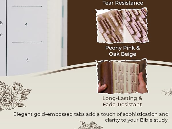 bible tabs, bible study tabs, catholic bible tabs, bible tabs catholic