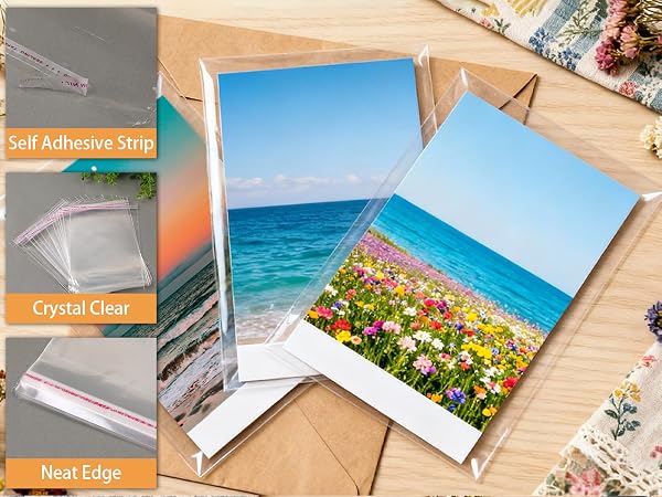 Clear Cookie Bags