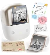 NIIMBOT B2 Pro Label Maker Machine, 300 DPI High Definition, Portable Thermal Label Printer with ...