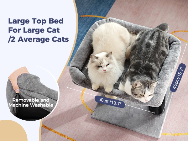 cat tree
