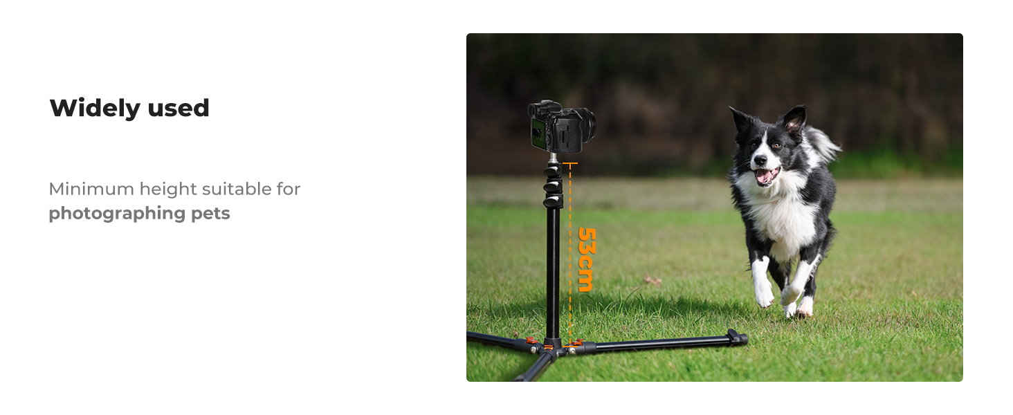 Camera mounted on a tripod in a grassy field, with a black and white dog running nearby. Text indicates it's suitable for photographing pets.
