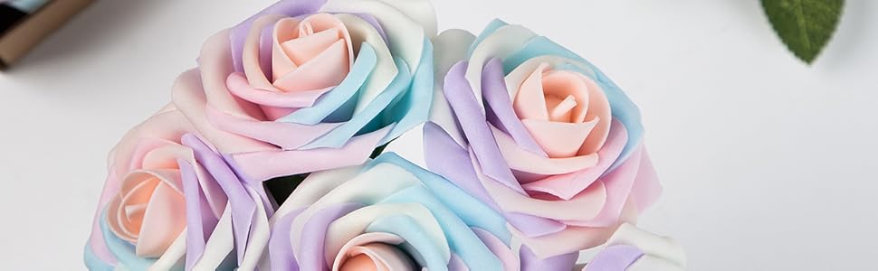 rainbow rose