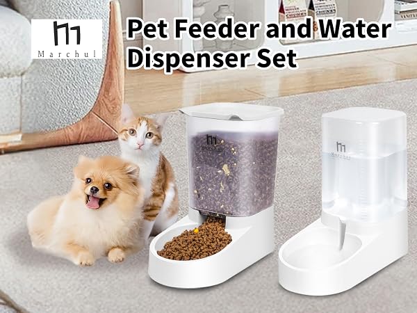 cat feeder