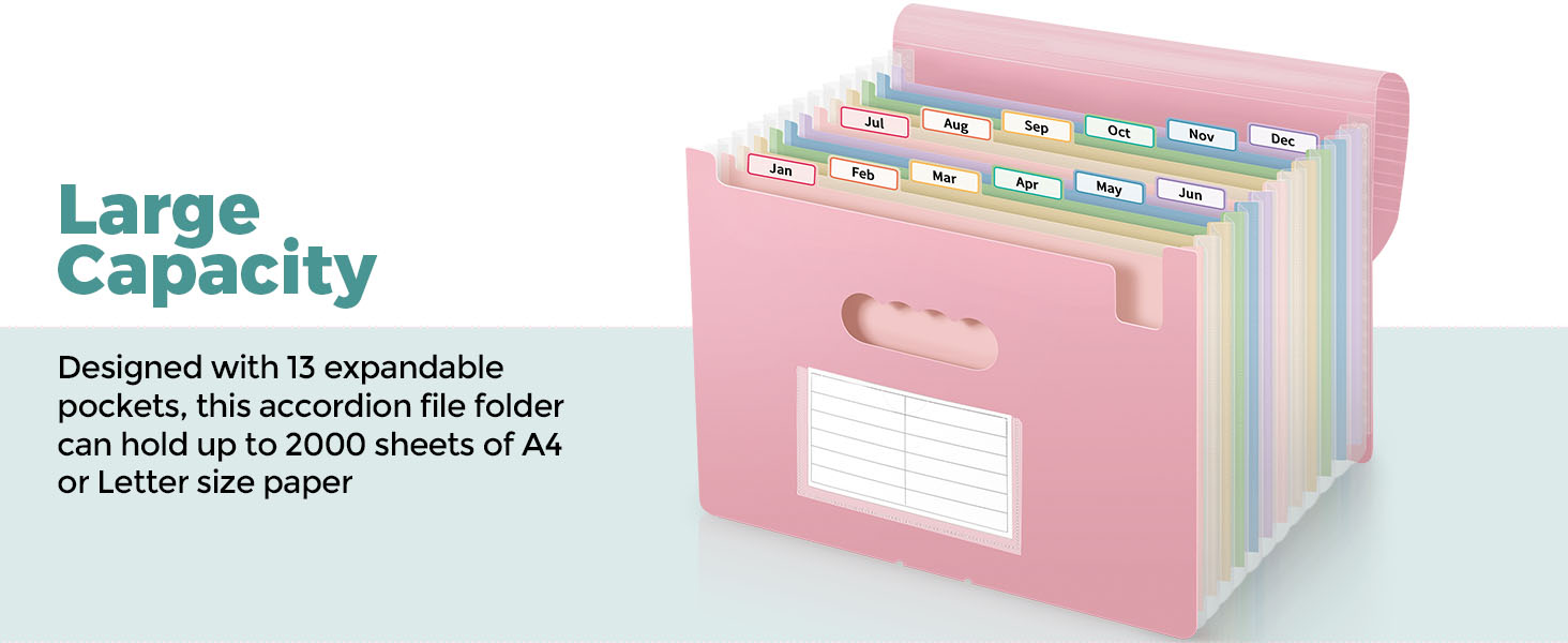 Accordion File Organizer