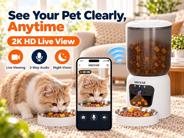 automatic cat feeder with camera