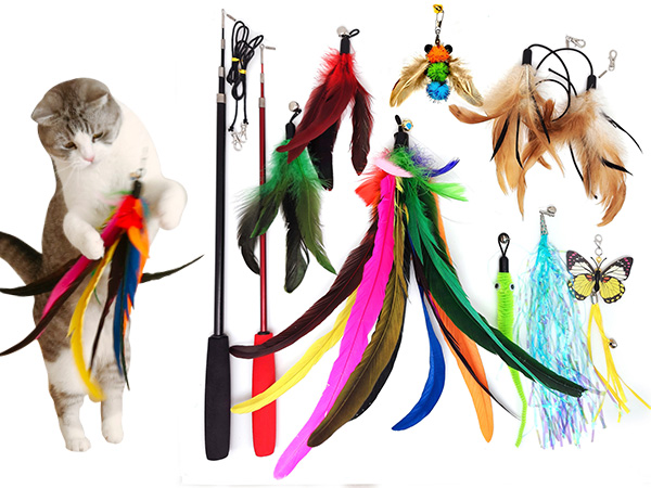 Retractable Cat Wand Toy and Feather Toys 2
