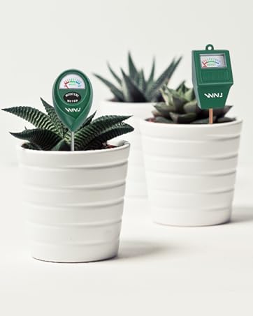 https://m.media-amazon.com/images/S/aplus-media-library-service-media/29b557a4-d3f2-447b-8958-62951e618d88.__CR0,23,463,579_PT0_SX362_V1___.jpg