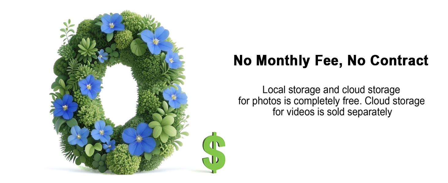 No monthly fee