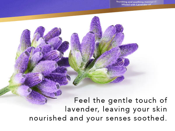 Lavender Oil