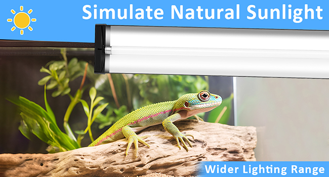 reptile light fixture