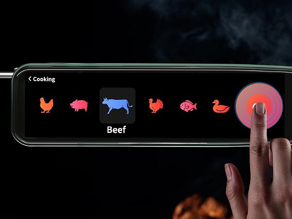 Meat Thermometer