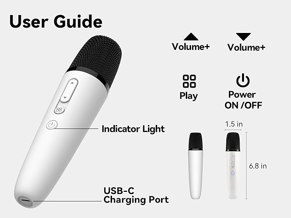 tesla car karaoke microphone for model y