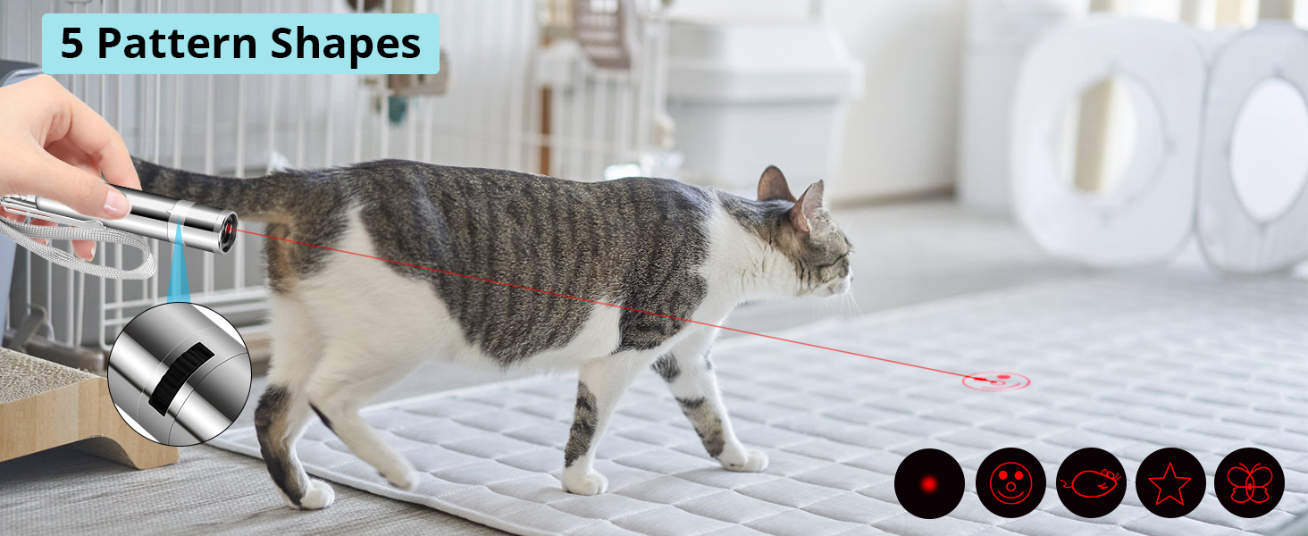 cat toys