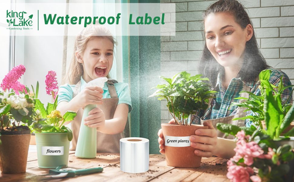 Waterproof Self-Adhesive Polyester Labels