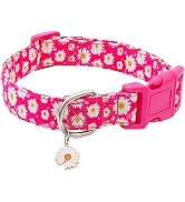 Faygarsle Cotton Dog Collar Cute Dog Collars for Small Medium Large Dogs Hot Pink Floral Colored ...