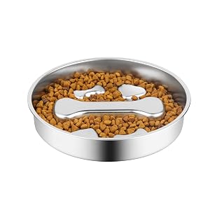 slow feeder dog bowls
