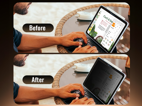 iPad Privacy Screen Protector A16