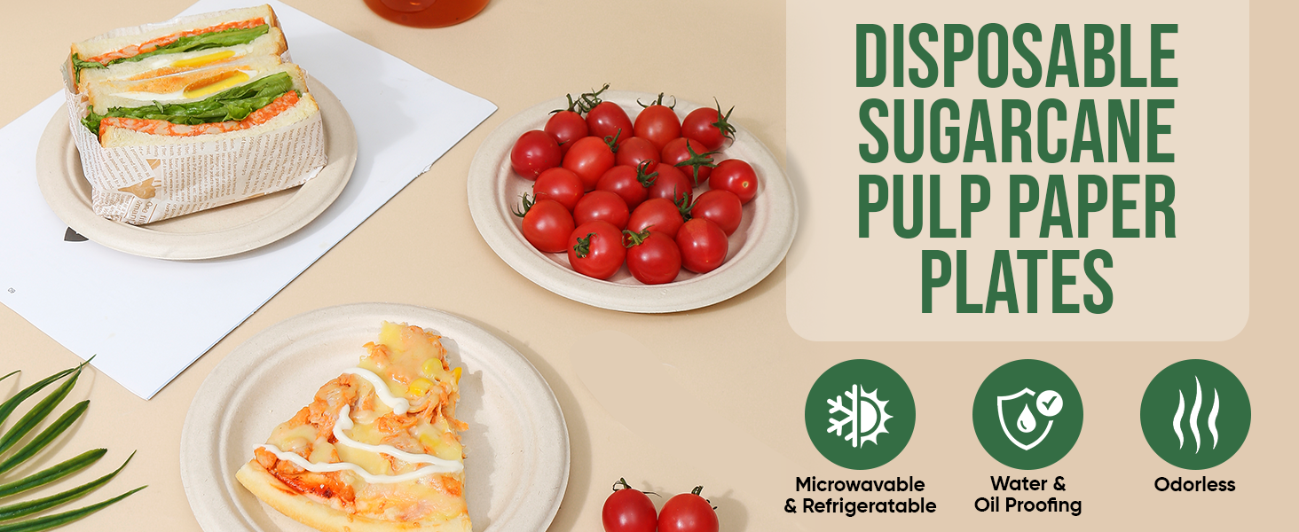 DISPOSABLE SUGARCANE PULP PAPER PLATES
