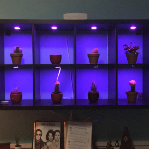 rgbww led puck lights with remote color changing under cabinet lighting multicolor counter lights