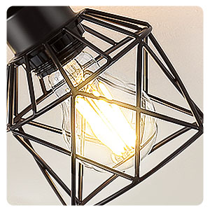 Metal Iron Cage
