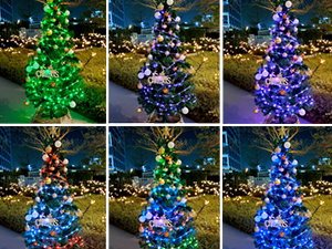 Series of six photos showing color-changing LED Christmas tree displays, transitioning through green, purple, and blue lighting effects against a night backdrop.