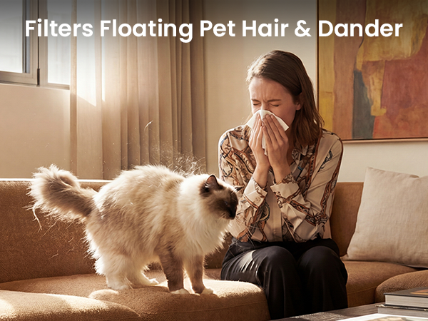 P358 Pet air purifier for floating hair