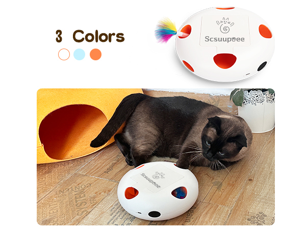 cat toys