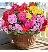 Artificial Geraniums Flowers for Outdoors Spring Decor, 8 Bundles UV Resistant Fake Geraniums Flo...