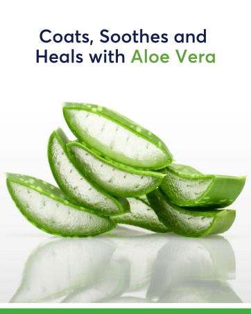 Canker-X, aloe vera, relief