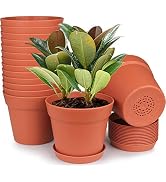 HOMENOTE Pots for Plants, 15 Pack 6 inch Plastic Planters with Multiple Drainage Holes and Tray -...