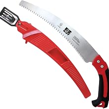 Curved Blade