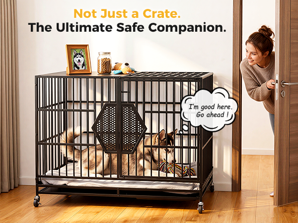 large dog kennel