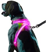 Noxgear LightHound – Revolutionary Illuminated and Reflective Harness for Dogs Including Multicol...
