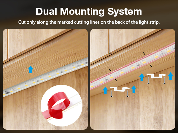 Dual Mounting System