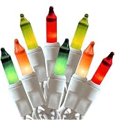 HISHINY Christmas Lights 100 Count Pastel Decorative Mini String Lights with White Wire for Outdo...