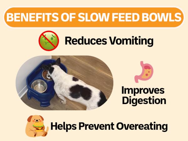 Benefits of using a slow feed bowl