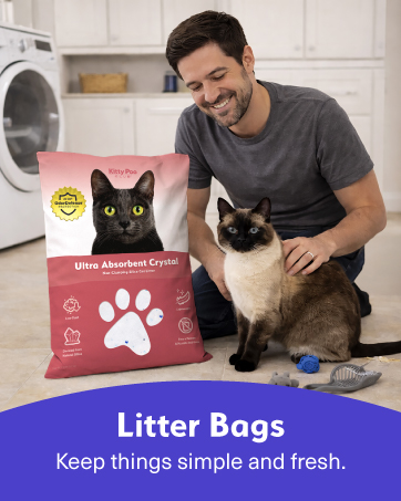 cat litter disposable box leak-proof silica crystal clumping odor control low dust natural plant