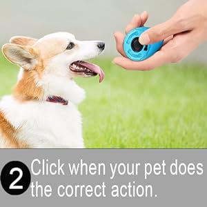 dog treat pouch dog treat bag dog training treat pouch dog walking bag dog training treat pouch