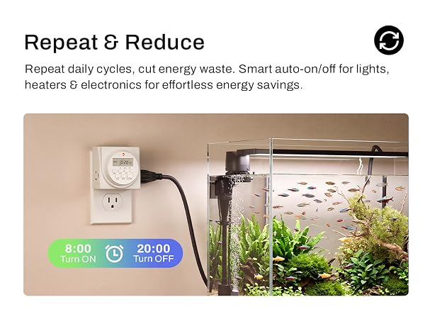 timer outlet