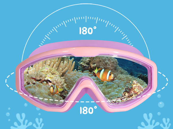 wide clear view goggles