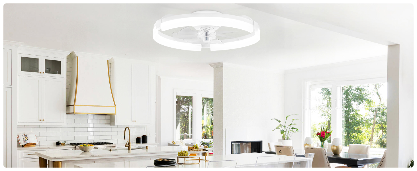 ceiling fans with lights