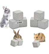 PINVNBY 9 Pcs Lava Blocks for Chinchillas,Hamster Chew Stones Square Mineral Calcium Bunny Teeth ...