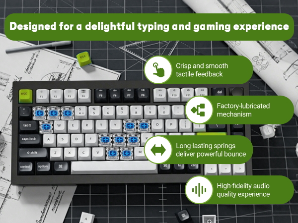 key clickers blue switches blue keyboard switches clicky thocky keyboard switches