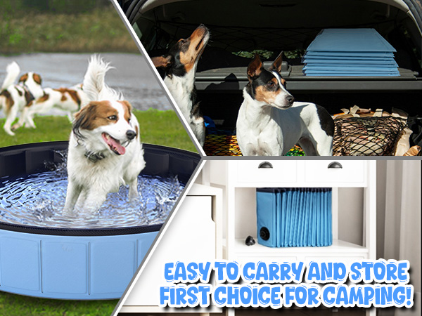dog pool