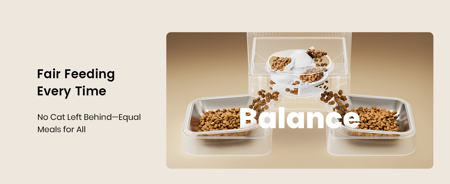 Automatic cat feeder