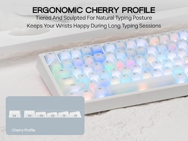 AegisSil Keycaps Set