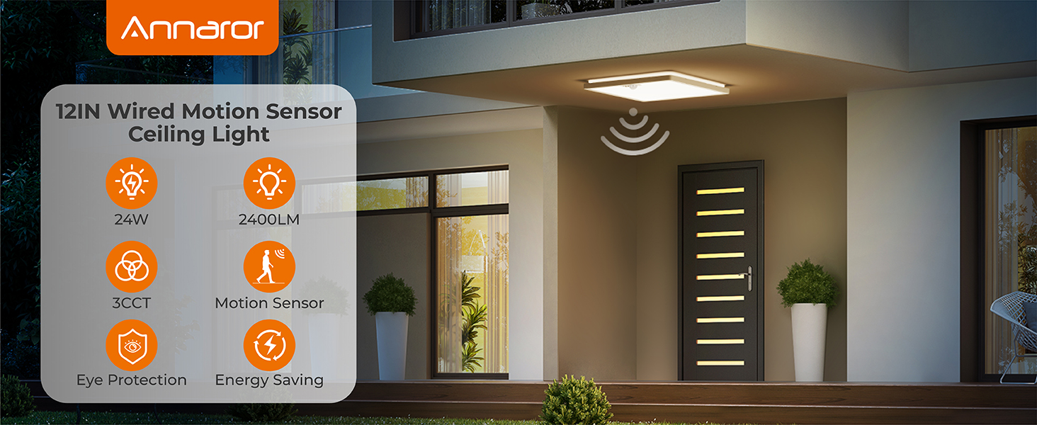 motion sensor light